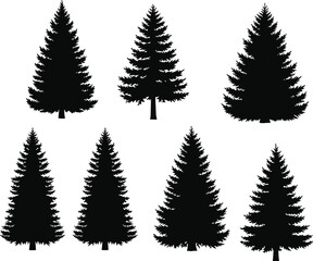 Fototapeta premium Set of Evergreen Pine and Fir Tree Silhouettes for Forest, Nature, and Landscape Design Illustrations