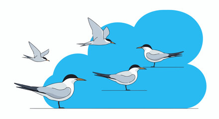 Fototapeta premium Stylized illustration of four terns in various poses against a blue, cloud-like shape