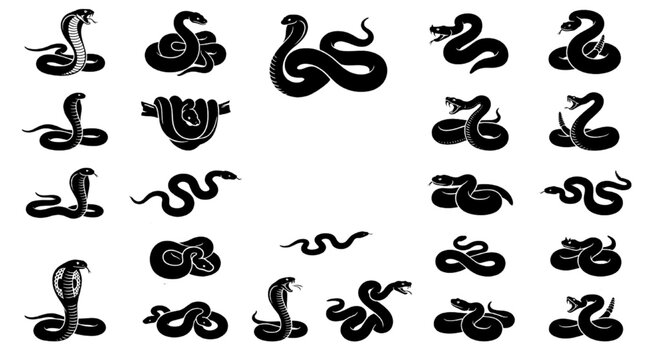 Snake Silhouette Vector Set Cobra Viper Python Serpent Reptile Animal Icons Collection