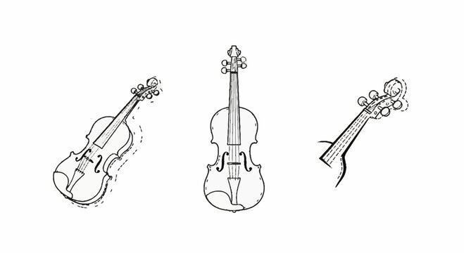 Detailed Line Drawing of Various String Instruments Together.