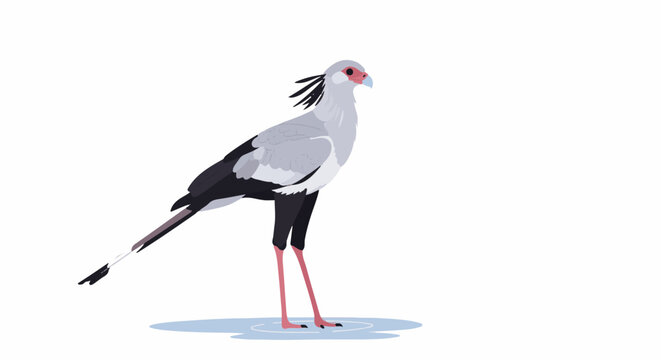 Stylized illustration of a secretary bird standing in shallow water, with a white background