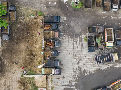 Aerial view of the Animal Market Prambanan with trucks carrying livestock and people working on the grounds in Kecamatan Prambanan, Jawa Tengah, Indonesia.
