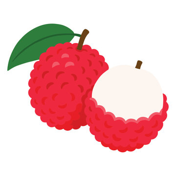 Tropical Lychee Fruit Minimalist Vector Illustration