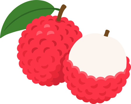 Tropical Lychee Fruit Minimalist Vector Illustration