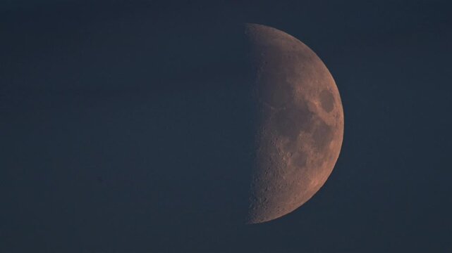 Moon half illuminated (waxing) in the evening sky.
