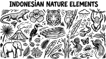 Indonesian Nature Elements Black and White Hand-drawn Sketch Doodle Vector Collection with Wildlife Animals Plants and Landscape Icons © evalova
