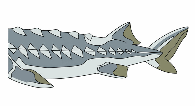 Stylized illustration of a prehistoric fish with bony plates and a long snout