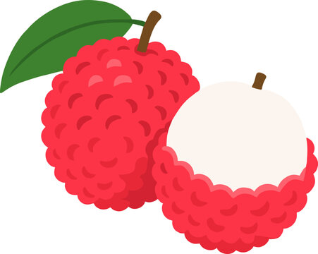 Tropical Lychee Fruit Minimalist Vector Illustration