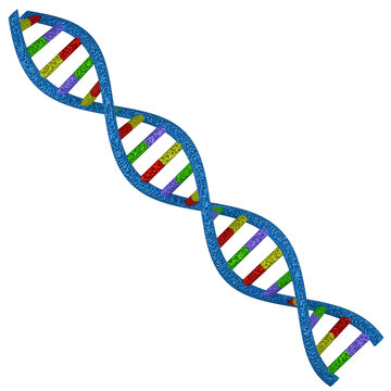 DNA Structure Biology Lesson Science Education