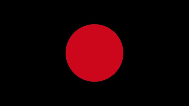 Red circular icon featuring a bold white cross symbol appearing and disappearing in a smooth rhythmic motion loop designed for digital interface feedback notifications in high quality 4k video footage