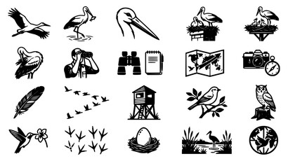 birdwatching, bird watcher, ornithology, vector icons, bird icon set, stork vector, heron illustration, binoculars icon, bird nest, bird egg, feather vector, flying birds, bird hide, observation tower © MDSUJON
