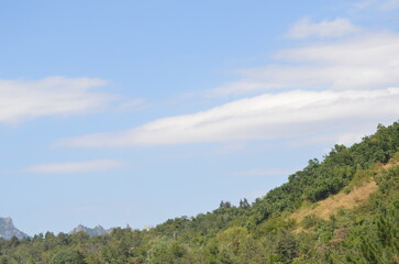 Fototapeta premium Beautiful landscape of lush green hills covered with forest under a blue sky with soft white clouds. A peaceful natural scenery representing wilderness, hiking, and summer trave