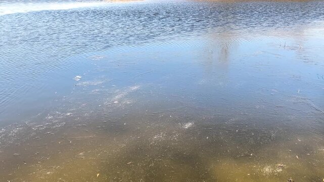 Ice melting on lake surface with water and soft ripples under daylight, spring concept. Ice patches dissolve into liquid, ice texture blends with water, natural seasonal transition in calm environment