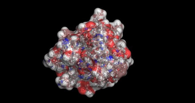 Tirzepatide, dual GLP-1 and GIP receptor agonist for type 2 diabetes and obesity, 3D molecule spinning, 4K