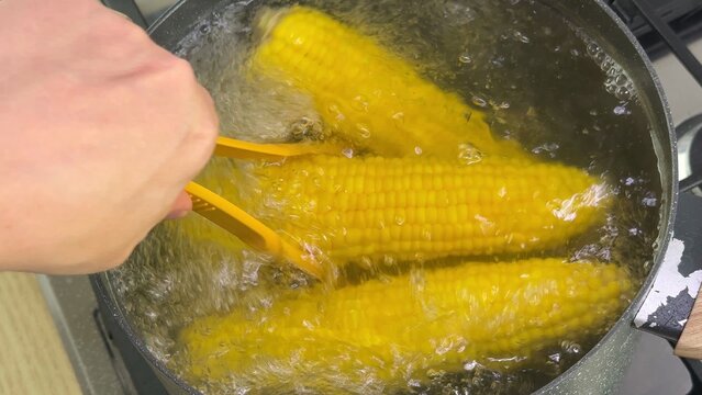 Hand uses tongs to lift corn on the cob from a pot of boiling water on a stovetop, warm home cooking scene with simple comfort food