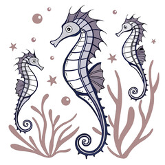 Three purple and blue seahorses with seaweed and bubbles sea horse marine life © come
