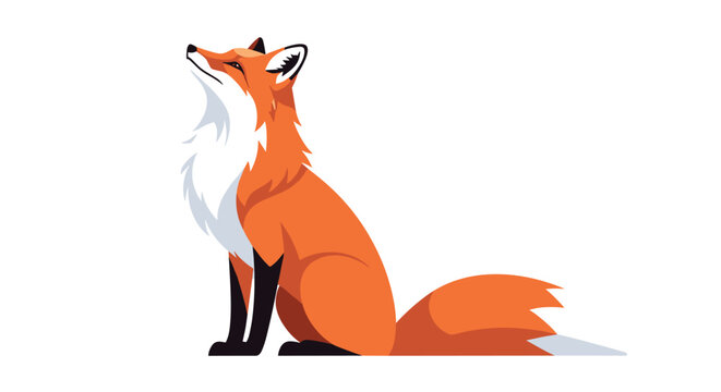 Elegant side profile illustration of a red fox sitting calmly with its tail wrapped around its body on a white background.