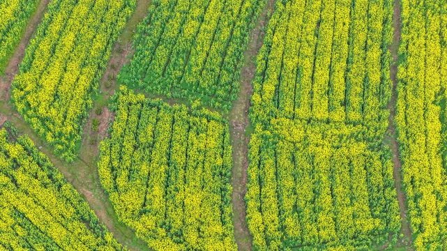 Aerial View of Lu Village, Yixian County, Anhui Province, China.