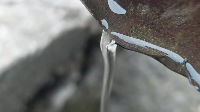 Rainwater flowing and dripping from a rusty metal gutter pipe close up