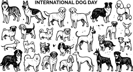 International Dog Day Celebration: Hand-Drawn Black and White Line Art Vector Illustration Featuring Diverse Dog Breeds Collection. © evalova