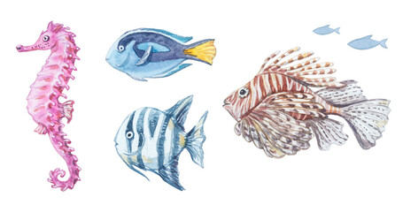 Fototapeta premium Watercolor Red Sea life animals set isolated on white background. Hand drawn marine collection of cute ocean seahorse, blue tang, convict tang and lionfish. Detailed underwater creatures clip art