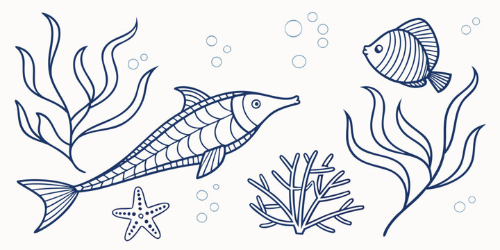 Detailed blue outline drawing of marine life including fish, starfish, and seaweed elements