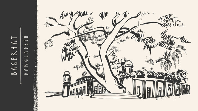Bagerhat, Bangladesh sketch. Giant tropical rain tree near Sixty Dome Mosque (Shat Gombuj Masjid). Massive twisting trunk, wide spreading branches, lush canopy historic Islamic UNESCO heritage site bg
