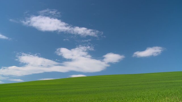 緑の草原と青空に流れる白い雲