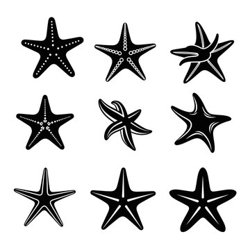 Collection of Starfish Silhouettes, Nautical Vector Icons, Marine Life Elements