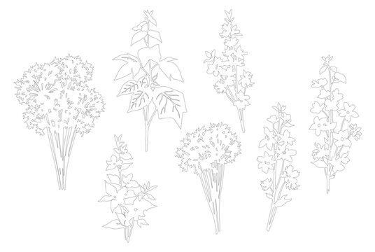 Minimalist botanical line art collection, hand drawn herb and wildflower sketches, set of 7 floral vector elements for wedding invitations and branding