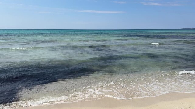 view of tropical beach shore with turquoise water on a sunny day with blue sky
