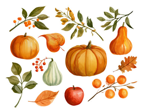 Autumn Harvest Watercolor Elements Collection