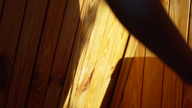Wood wall shadow casting dynamic light across vertical timber planks inside a rustic home cabin during a bright sunny afternoon