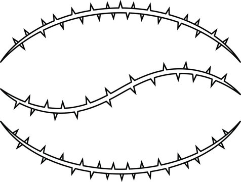 Black and white thorny branch vector elements set with sharp spikes for gothic tattoo designs and frames