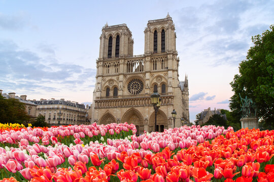 facade of Notre Dame cathedral and river Seine at spting day with flowers, Paris, France