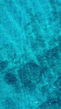 Blue water and mobulas