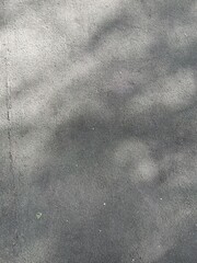 Fototapeta premium Asphalt Pavement With Soft Tree Shadow Patterns And Small Leaf Fragment In Outdoor Walkway Under Muted Daylight Urban Setting Textured Surface.