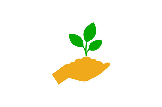 Hand holding a small green plant sprout