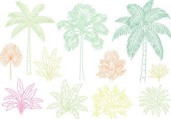 Obraz premium Vibrant floral with green, yellow, pink, and orange flowers on white background