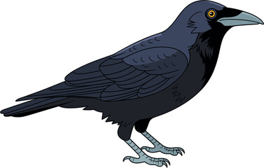 Fototapeta premium Black Crow Raven Vector Illustration with Detailed Feathers and Yellow Eye for Halloween Graphic Designs Wildlife Bird Education and Gothic Theme Artworks