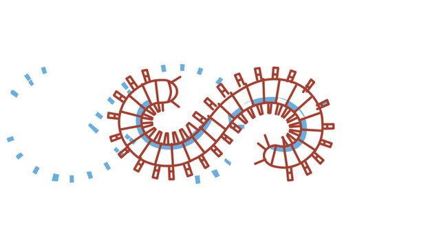 Colorful line vector icon of a centipede or millipedeinsect with many legs, feauring an editable stroke, djustable stroke, customizble stroke weight, line weght, thin line, editable, nd stroke.