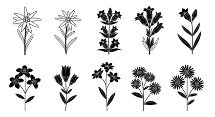 Fototapeta premium Hand-drawn floral elements, botanical illustrations, black and white line art
