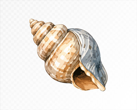 Large spiral seashell in beige and gray watercolor clipart style, isolated coastal marine object for beach, ocean, summer, shore and relaxed seaside themes.