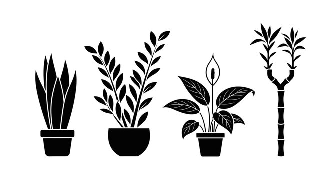 Silhouette Potted Plants Collection: Snake Plant, ZZ Plant, Peace Lily, Bamboo