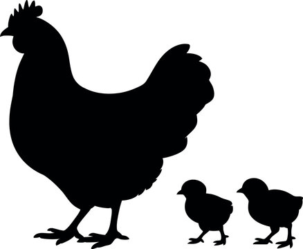 Silhouette of a mother hen and two chicks walking together in a family unit