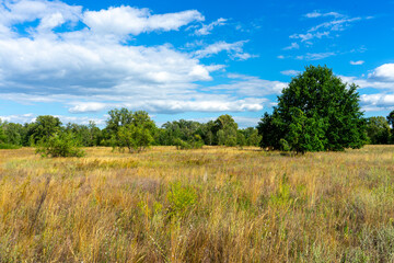 Obraz premium Muromets Park in Kyiv, Ukraine, winds through scenic greenery, offering a peaceful route for cyclists and nature lovers.