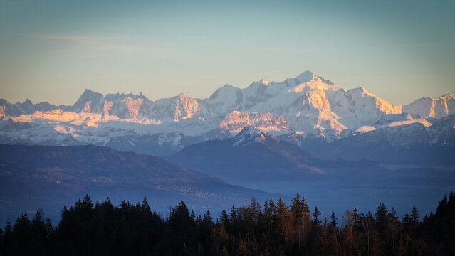 Aerial view of the snow-capped peaks of the Mont Blanc massif glowing in the golden hour light above a dark pine forest and hazy blue valleys Chamonix, Auvergne-Rhone-Alpes, France.