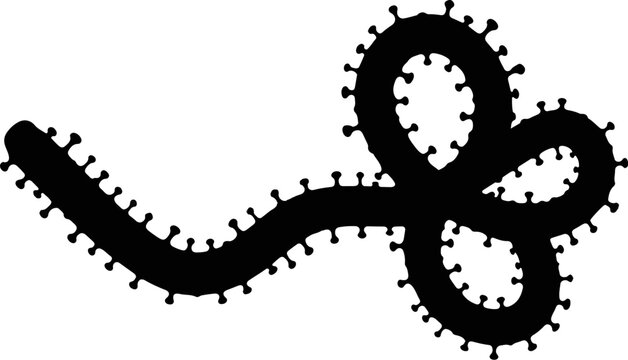 ebola virus micro organism strand filament silhouette medical vector graphic