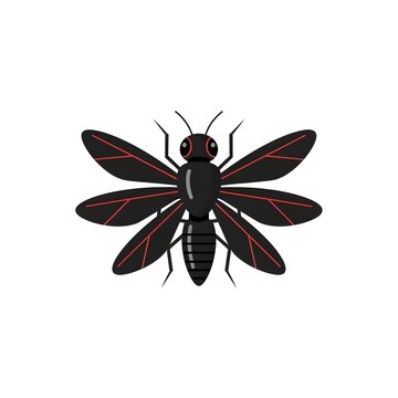 Black flying ant with red wing veins isolated on white background