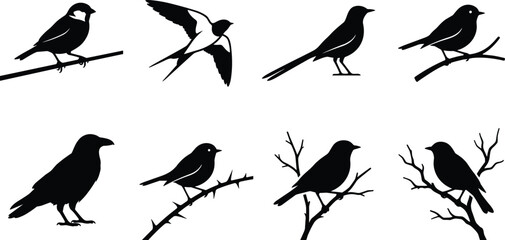 Fototapeta premium Collection of Different Bird Silhouettes Set Featuring Sparrows Swallow Raven and Songbirds Perching on Tree Branches for Nature Design Layouts